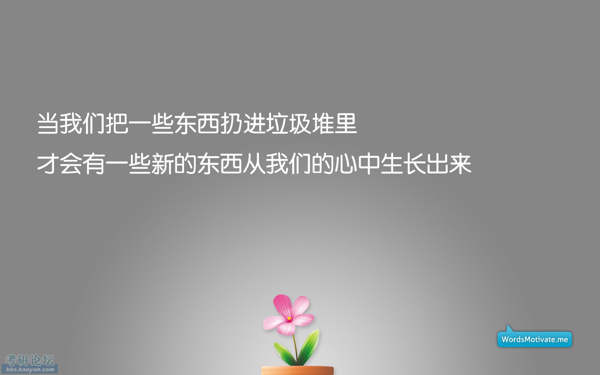 sj541683113436