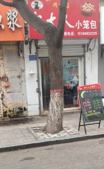 转让五中街营业中包子店